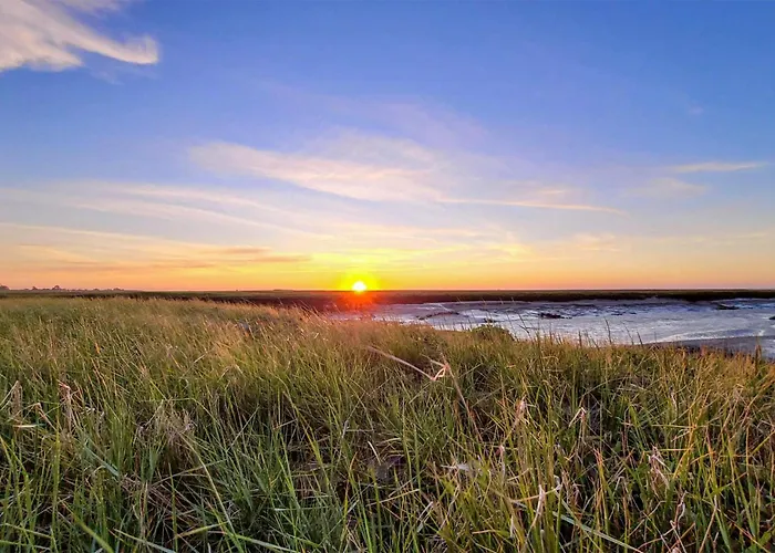 Pet Friendly In 布特亚丁根